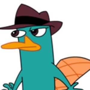 Meet your Posher, Regina